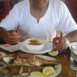 Toro Fish Bebida