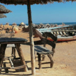 Uncle Ali's Fish Dentro