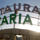 Elyess Exterior