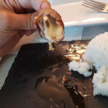 Zikoto Sushi Comida