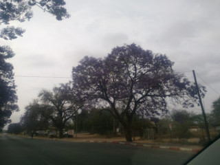 Serowe Barcelos