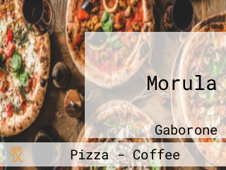 Morula