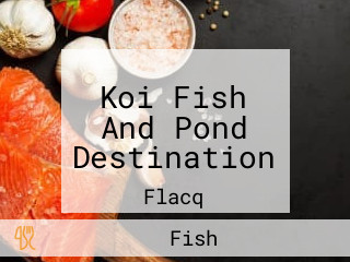 Koi Fish And Pond Destination