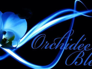 Salon De Thé L'orchidée Bleue