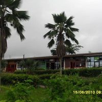 New Buka Oau!